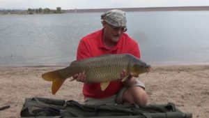 20 lb common carp for John